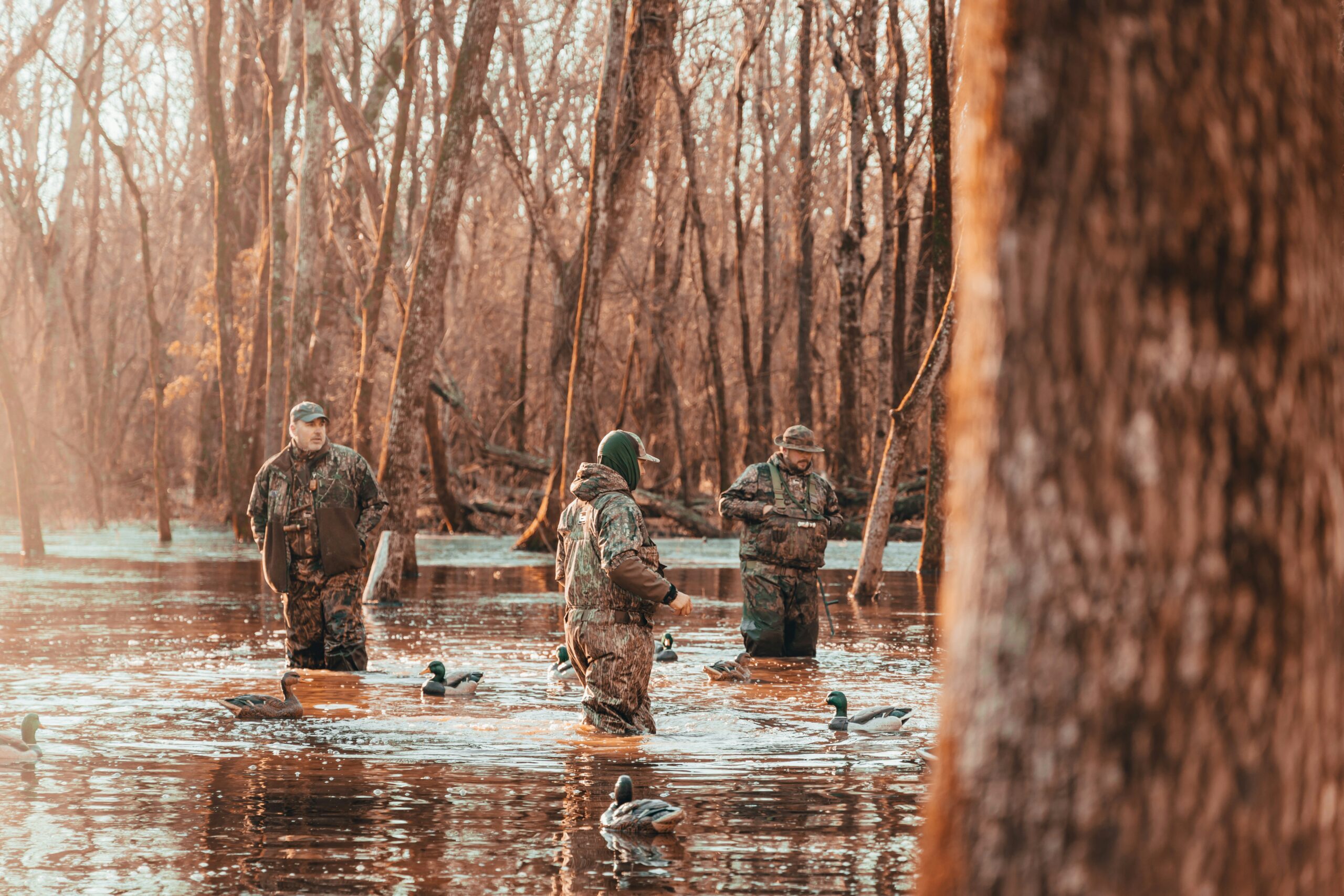best time for hunting